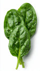Spinach