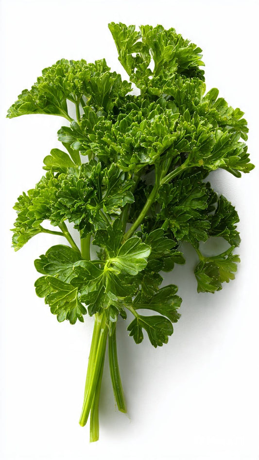 Parsley