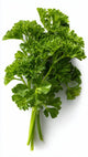 Parsley