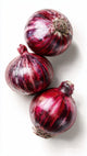 Onions