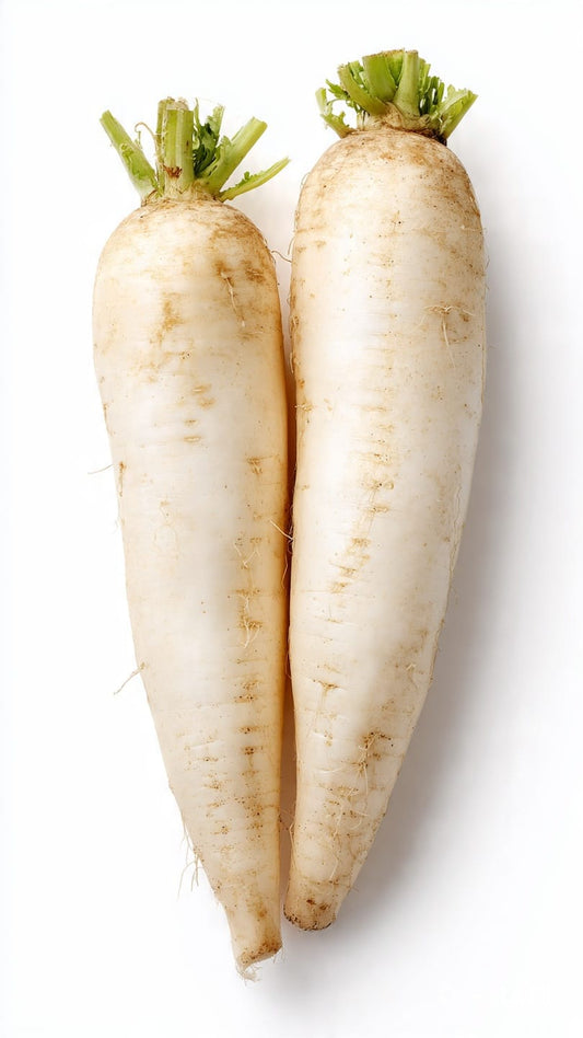 White Radish