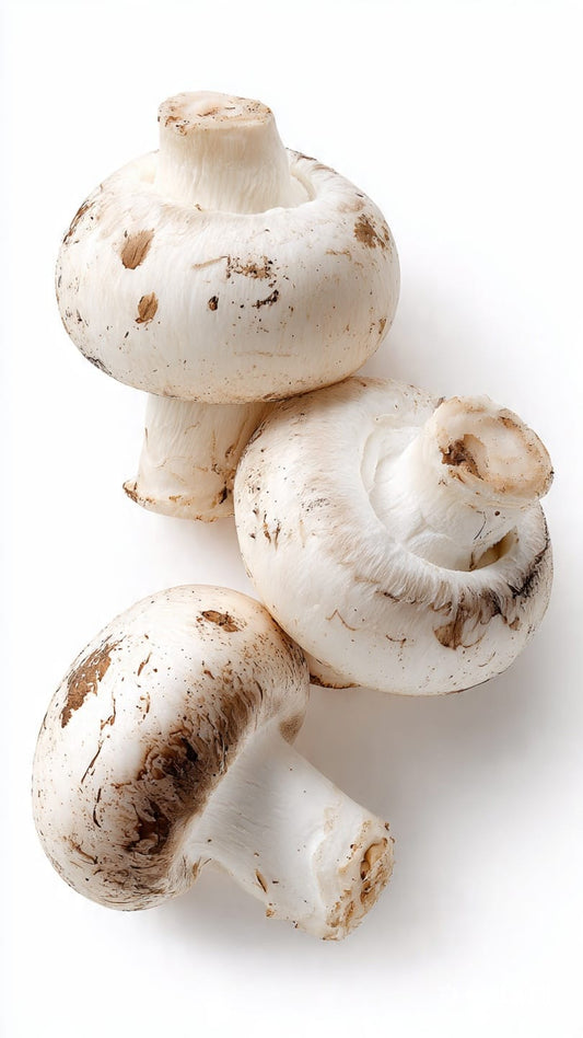 Mushrooms