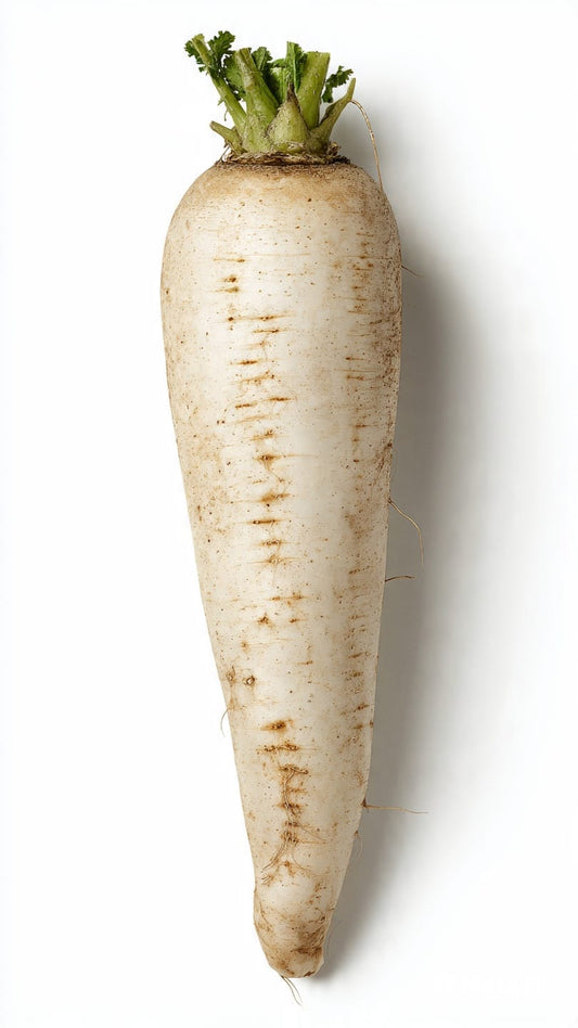 White Radish
