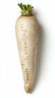 White Radish