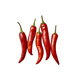 Chilli